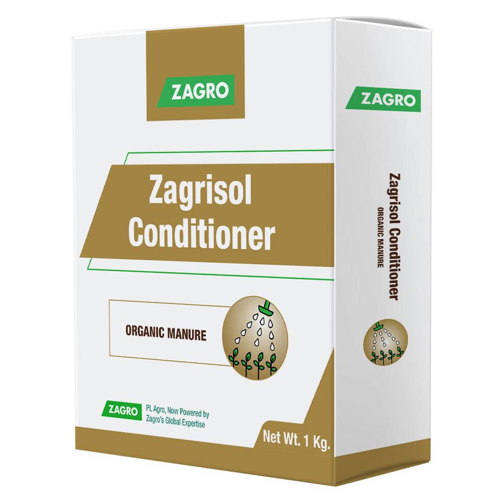 Zagrisol Conditioner